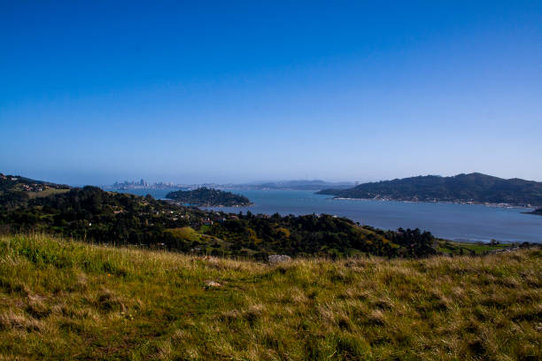 istock A beautiful spring day in Marin County, California 1153101265