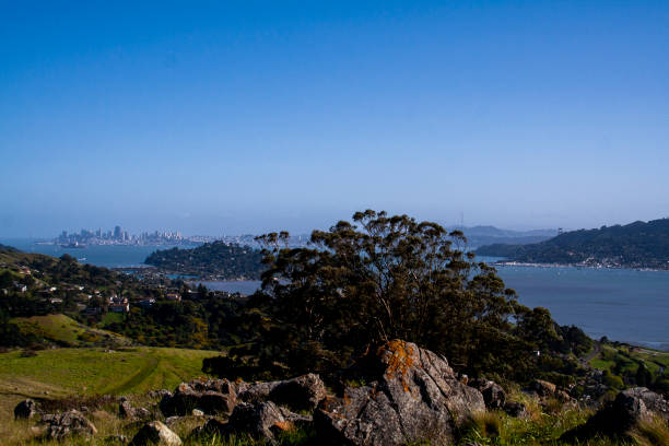 istock A beautiful spring day in Marin County, California 1153101274