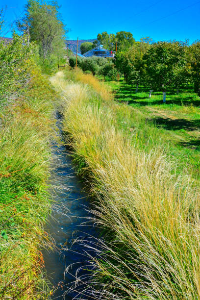istock An Acequia near Velarde, New Mexico 1153101353