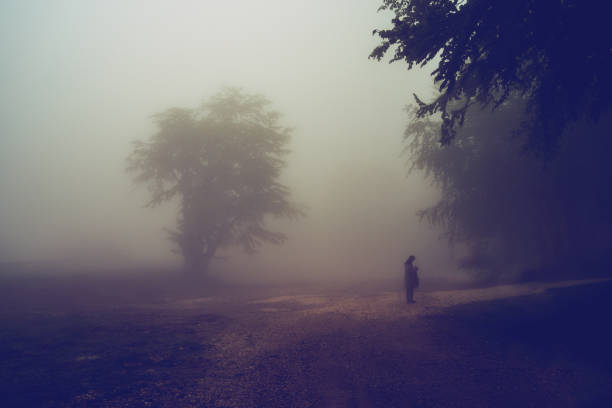 istock One tree alone on the horizon with two silhouettes on a mountain range misty fog rainy moody day 1153105268