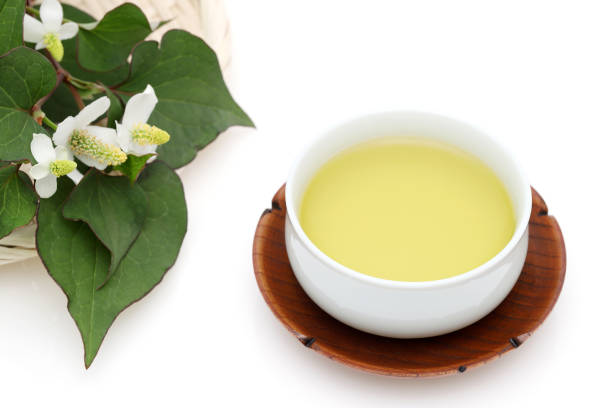 tè dokudami sano giapponese - tea crop spring japanese culture tea foto e immagini stock