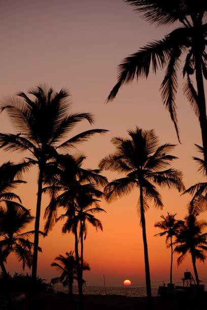 istock Sunset over the Arabian Sea 1153109477