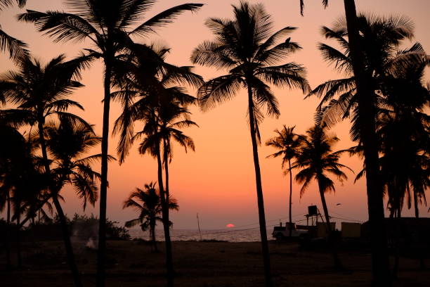istock Sunset over the Arabian Sea 1153109498