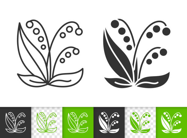 ilustrações, clipart, desenhos animados e ícones de linha preta simples do vale do lírio ícone do vetor - snowdrop lily silhouette black