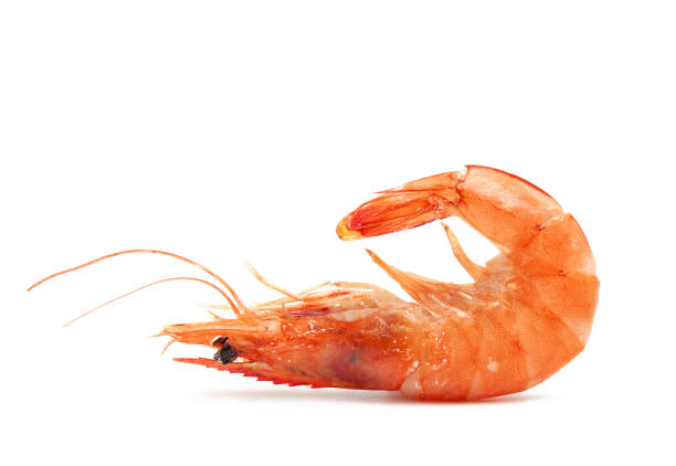 istock ripe  cooked  prawns isolated on white background 1153117562