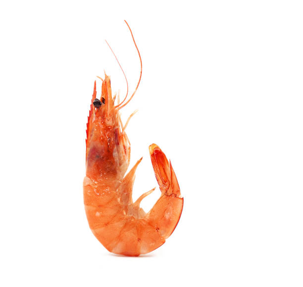 istock ripe  cooked  prawns isolated on white background 1153117628