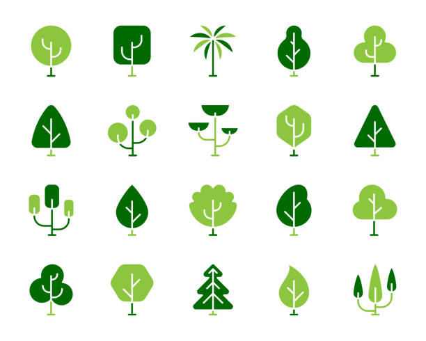 기하학적 나무 간단한 색상 평면 아이콘 벡터 세트 - arbol stock illustrations