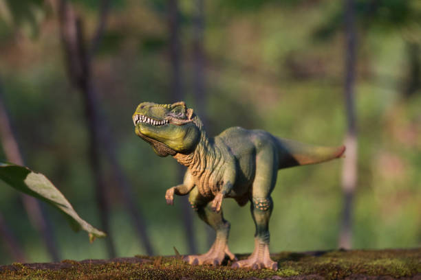 istock Tyrannosaurus Rex 1153119925
