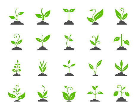 Grass silhouette icons set. Isolated on white web sign kit of bio plant. Sprout pictogram collection includes flower, gardening, ecology. Simple green grass contour symbol. Vector Icon shape for stamp
