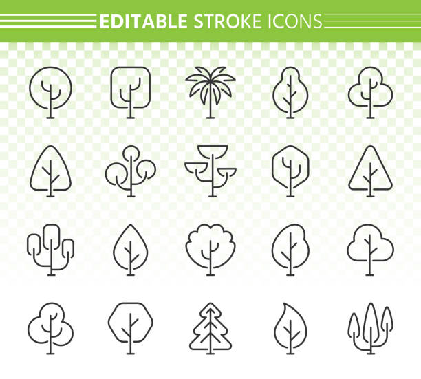abstract tree simple black line icons vector set set - poplar tree forest oak tree autumn stock-grafiken, -clipart, -cartoons und -symbole