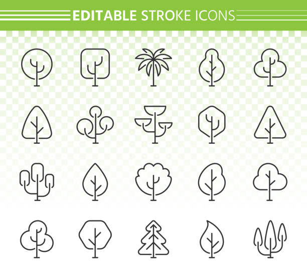 illustrations, cliparts, dessins animés et icônes de abstrait arbre simple ligne noire icônes vecteur ensemble - arbol