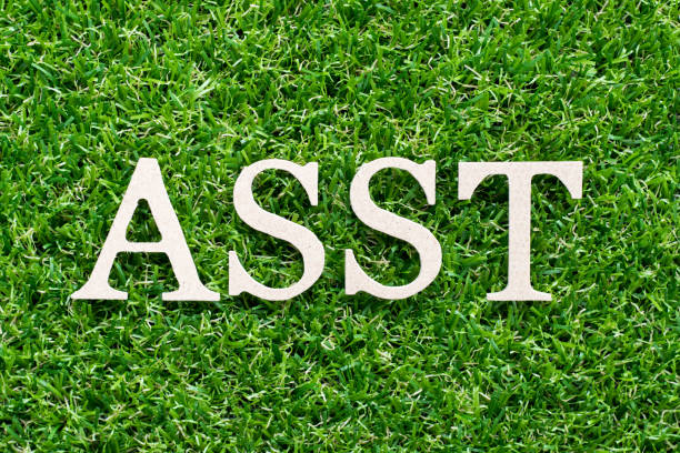 istock Wood alphabet in word asst (abbreviation of assistant) on artificial green grass background 1153128496
