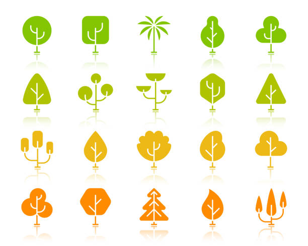 illustrations, cliparts, dessins animés et icônes de géométrique arbres couleur silhouette icônes vecteur ensemble - arbol