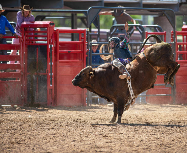 istock Cowboy Bull Riding in Rodeo Arena 1153144406