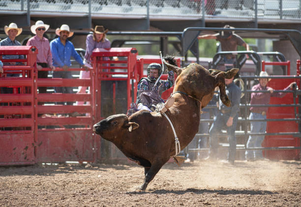 istock Cowboy Bull Riding in Rodeo Arena 1153144563