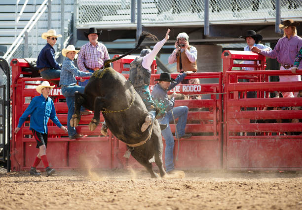 istock Cowboy Bull Riding in Rodeo Arena 1153144617
