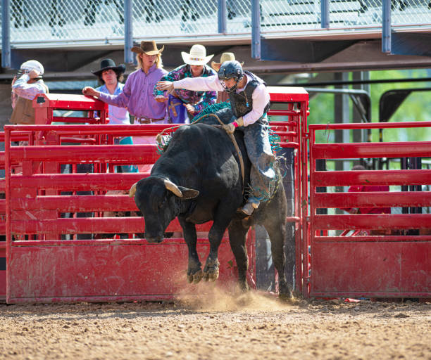 istock Cowboy Bull Riding in Rodeo Arena 1153144630
