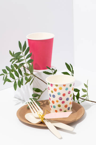 istock Recyclable paper tableware and cornstarch cutlery over white background 1153146685
