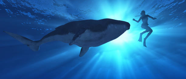 istock Low angle view of a whale and diver swimming in the ocean. This is a 3d render. 1153147655