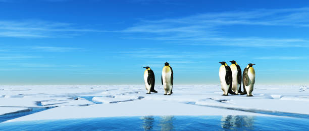 group of penguins on frozen cracked water. this is a 3d illustration. - climate change south pole antarctica imagens e fotografias de stock