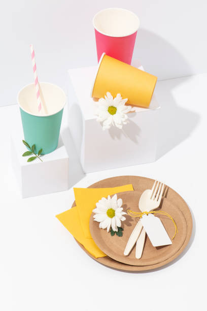 istock Recyclable multicolored paper tableware, cornstarch cutlery over white 1153147757