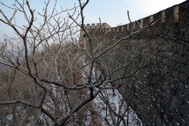 istock Bare trees in winter with Great Wall of China  in background 1153148160