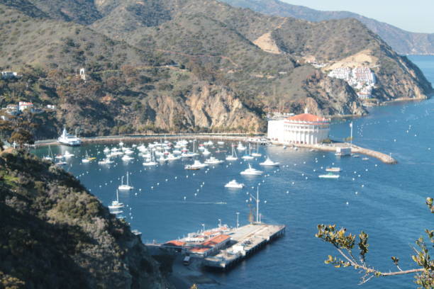 istock Overlooking the Catalina Bay 1153152032