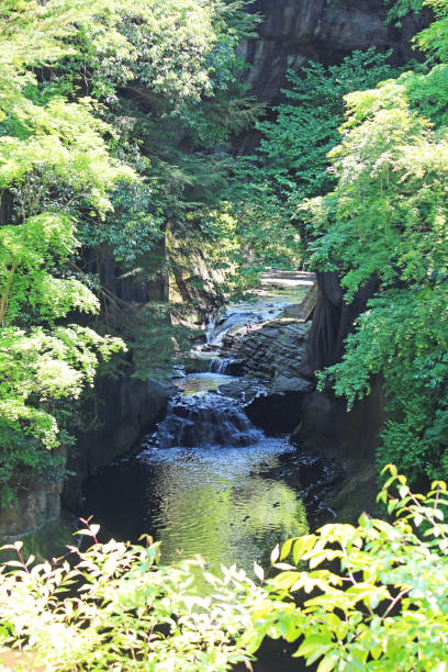 istock Nomizo Waterfall in Chiba Prefecture,Japan. 1153153035
