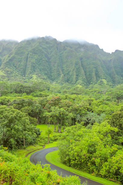 istock Ho'omaluhia Botanical Garden Mountain View Grenn Tree 1153153917