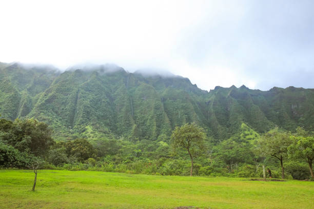 istock Ho'omaluhia Botanical Garden Mountain View Grenn Tree 1153153974
