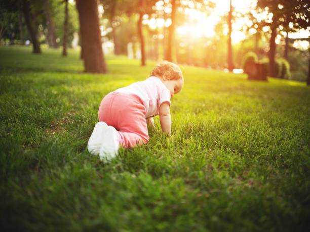 istock Cute baby playing on grass 1153161393
