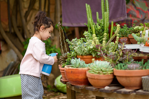 Candid cozy image cute child, little gardener sprinkling plants. Young sweet girl sprays succulent and cactus on summer courtyard garden.