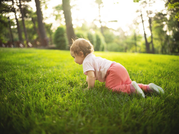 istock Cute baby playing on grass 1153162438