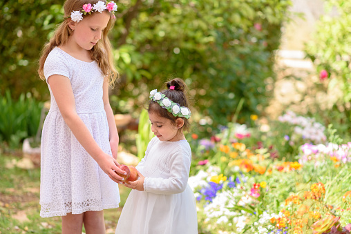 Harvest. Shavuot. Rosh Hashanah. Close up little girls holds red apple at the hands on beautiful garden background. Portrait adorable small kids outdoor.