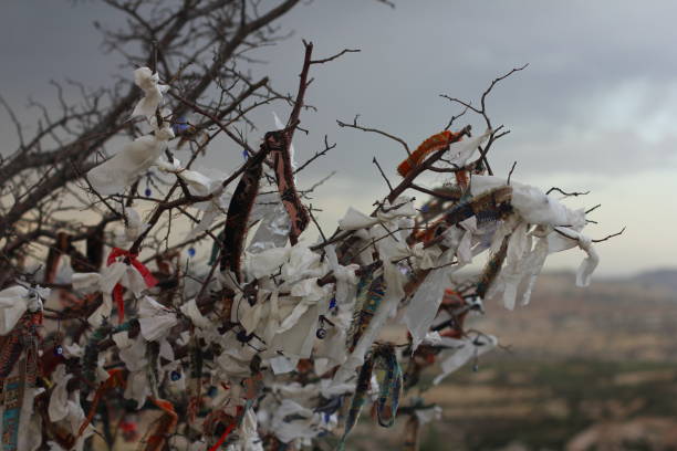 istock Nazar amulets and Decorative jugs on a tree. Cappadocia, Turkey. 1153163233