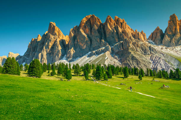 Fantastic summer alpine landscape with high cliffs, Dolomites, Italy Wonderful summer alpine landscape, green fields, pine trees with high snowy mountains in background at sunset, Geisler - Odle mountain group, Alto Adige, Dolomites, Italy, Europe dolomite photos stock pictures, royalty-free photos & images
