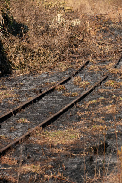 istock A close up view of old unsed raileway line 1153168152