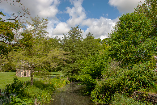 The River Lark junto a los jardines Abbey en Bury St Edmunds, Suffolk photo