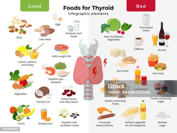 Ilustraci n De Elementos Infogr ficos De Nutrici n Tiroidea Alimentos ilustraci-n-de-elementos-infogr-ficos-de-nutrici-n-tiroidea-alimentos