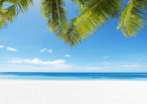 istock Tropical paradise beach and beautiful seascape 1153184452
