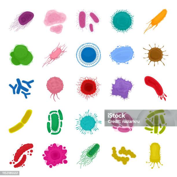 Gros Ensemble Bactéries Et Cellules Virales Isolées Sur Fond Blanc Microorganismes Virus Pandémiques Champignons Vecteurs libres de droits et plus d'images vectorielles de Cellule