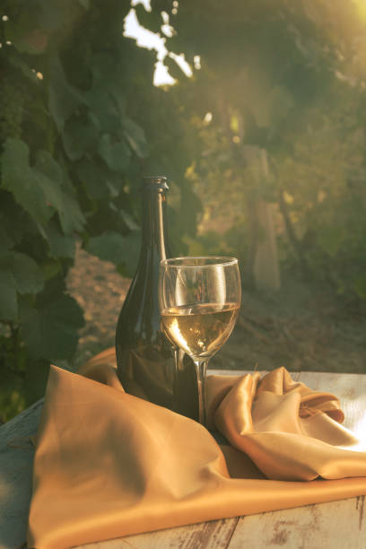 istock glass with white wine in vineyard on old table 1153187479