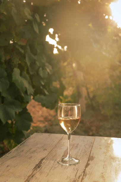 istock glass with white wine in vineyard on old table 1153187837