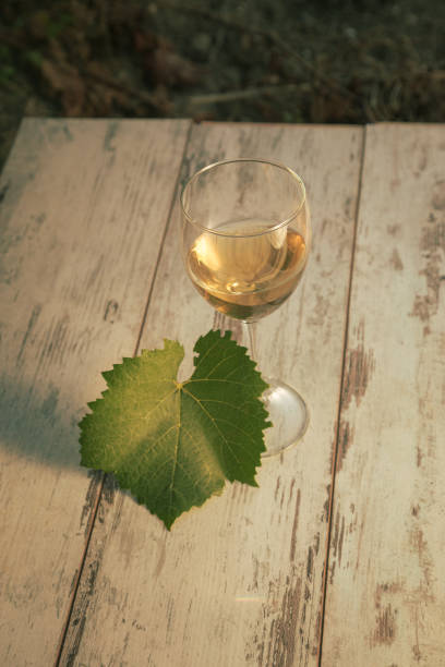istock glass with white wine in vineyard on old table 1153187912