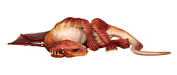 istock 3D illustration fantasy dragon on white 1153188037
