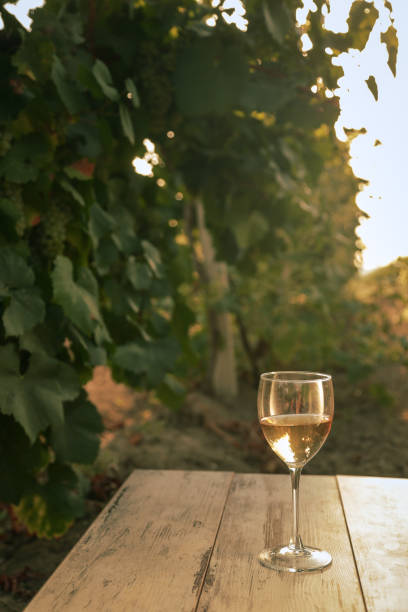 istock glass with white wine in vineyard on old table 1153188950