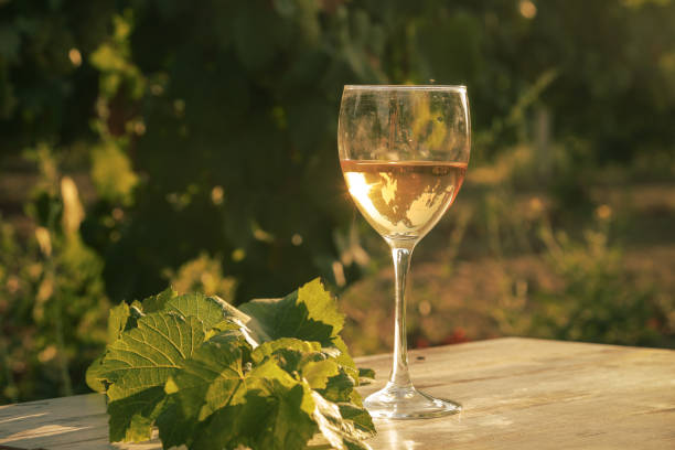 istock glass with white wine in vineyard on old table 1153189135