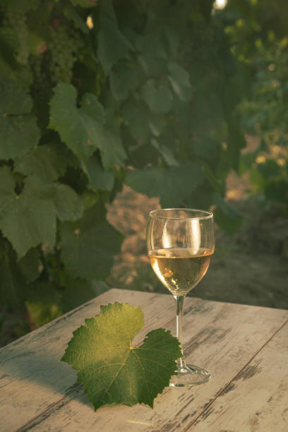 istock glass with white wine in vineyard on old table 1153189136