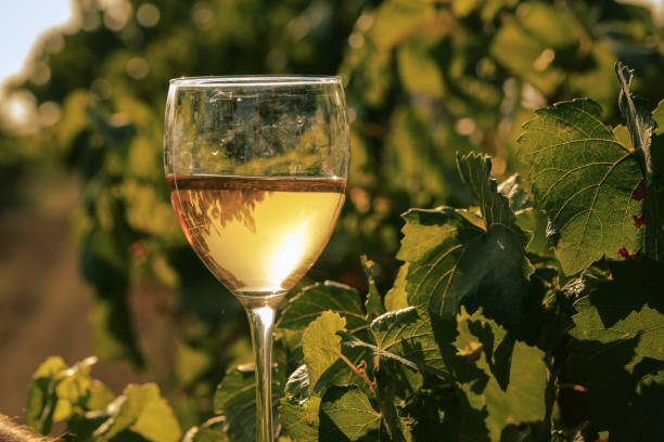 istock glass with white wine in vineyard on old table 1153189184