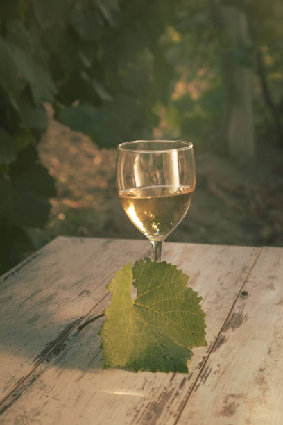 istock glass with white wine in vineyard on old table 1153189236